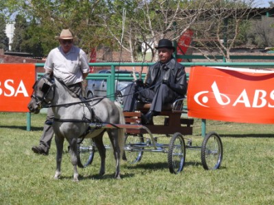 SA Champion for 2010